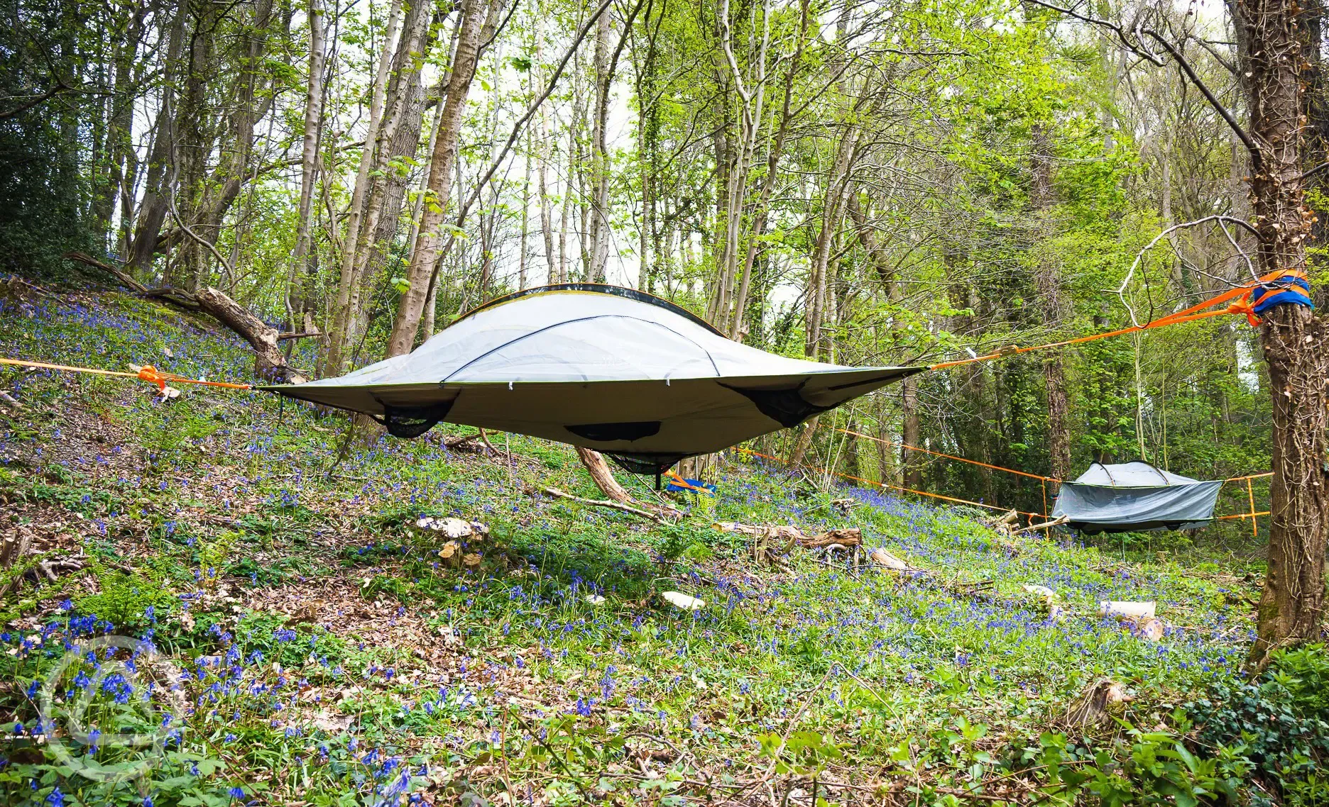 The Swallow tree tent