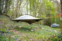 The Swallow tree tent