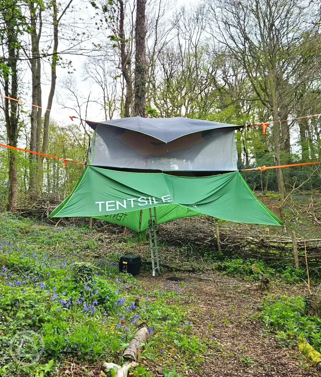 The Buzzard Tentsile stack