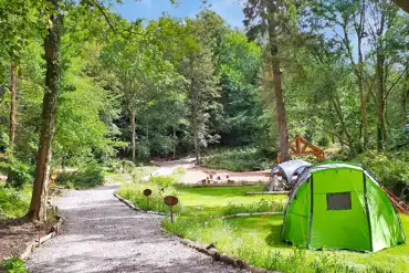 Non electric grass pitches at Tree Tops and Train Tracks