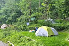 Non electric grass pitches