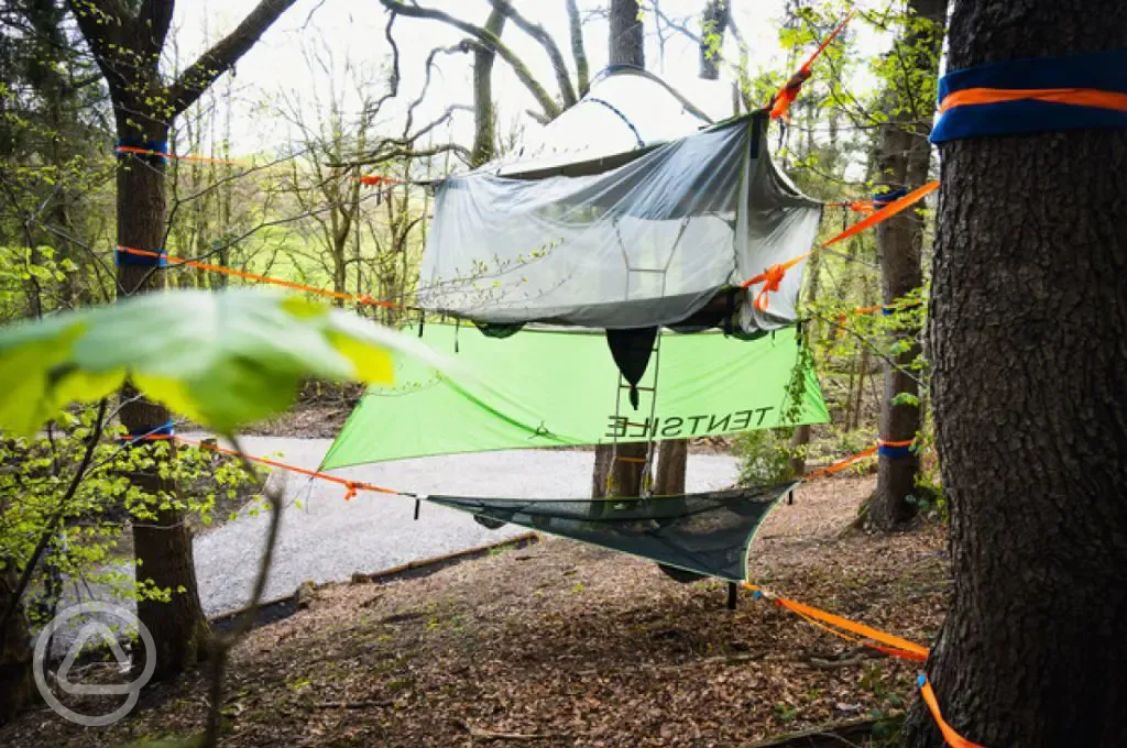 The Buzzard Tentsile stack