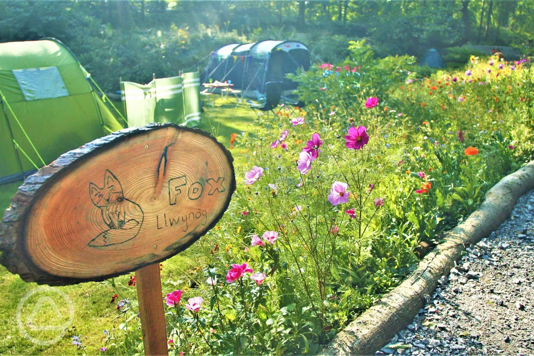 Wildflowers by the non electric grass pitches