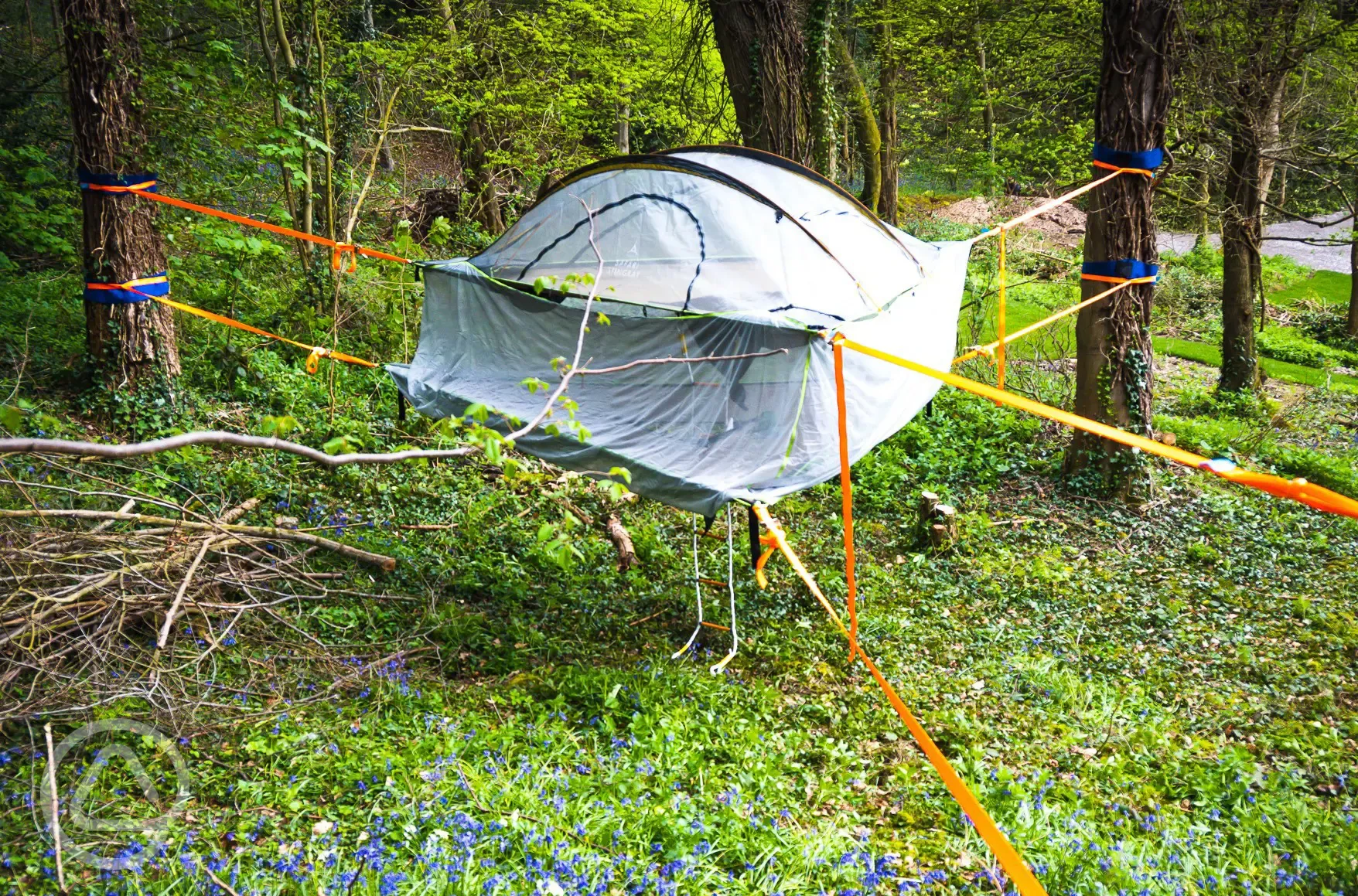 SparrowHawk tree tent