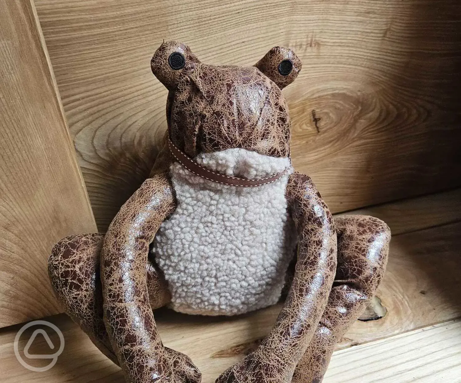 The Toad Hideout Glamping Cabin interior