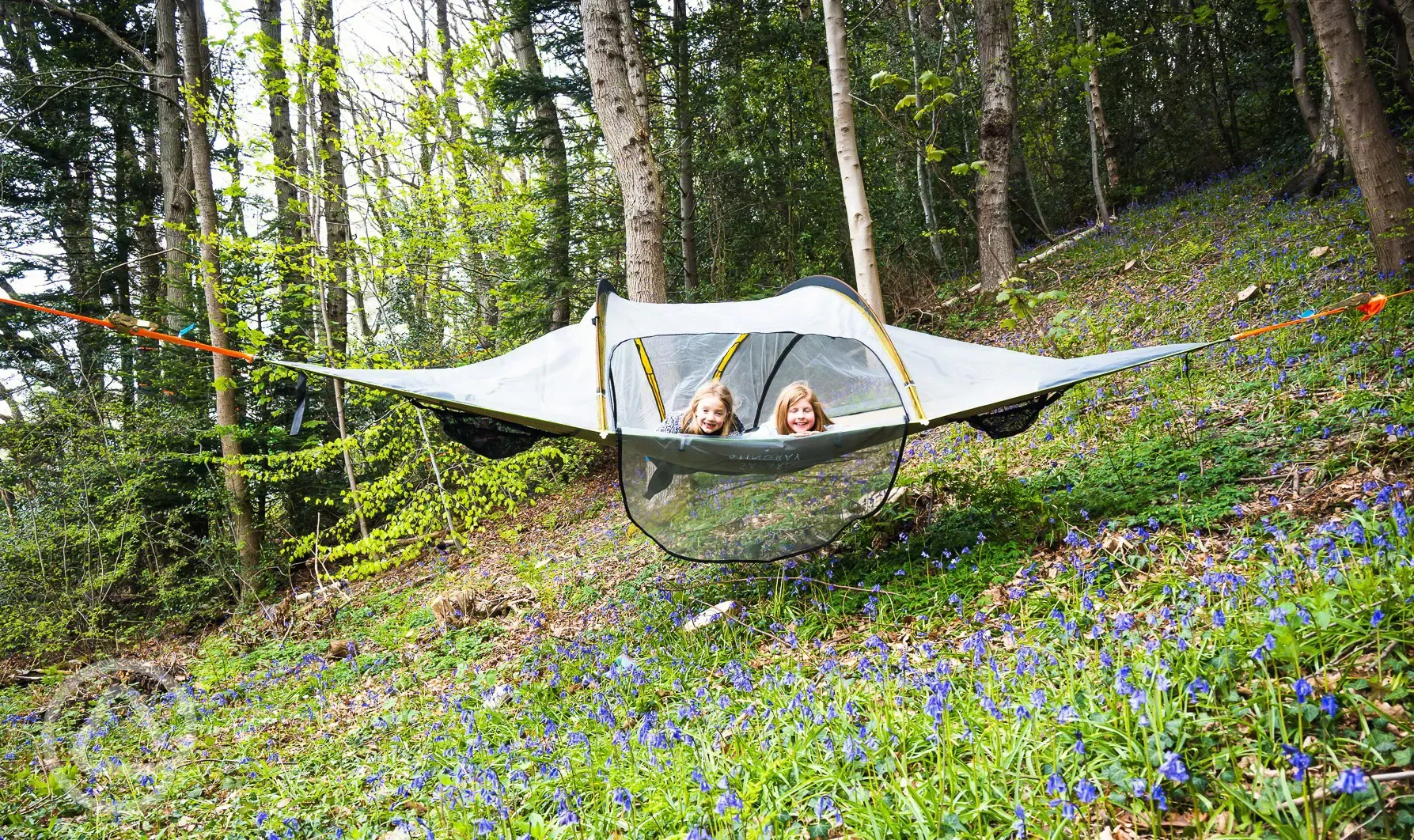 Tree tents