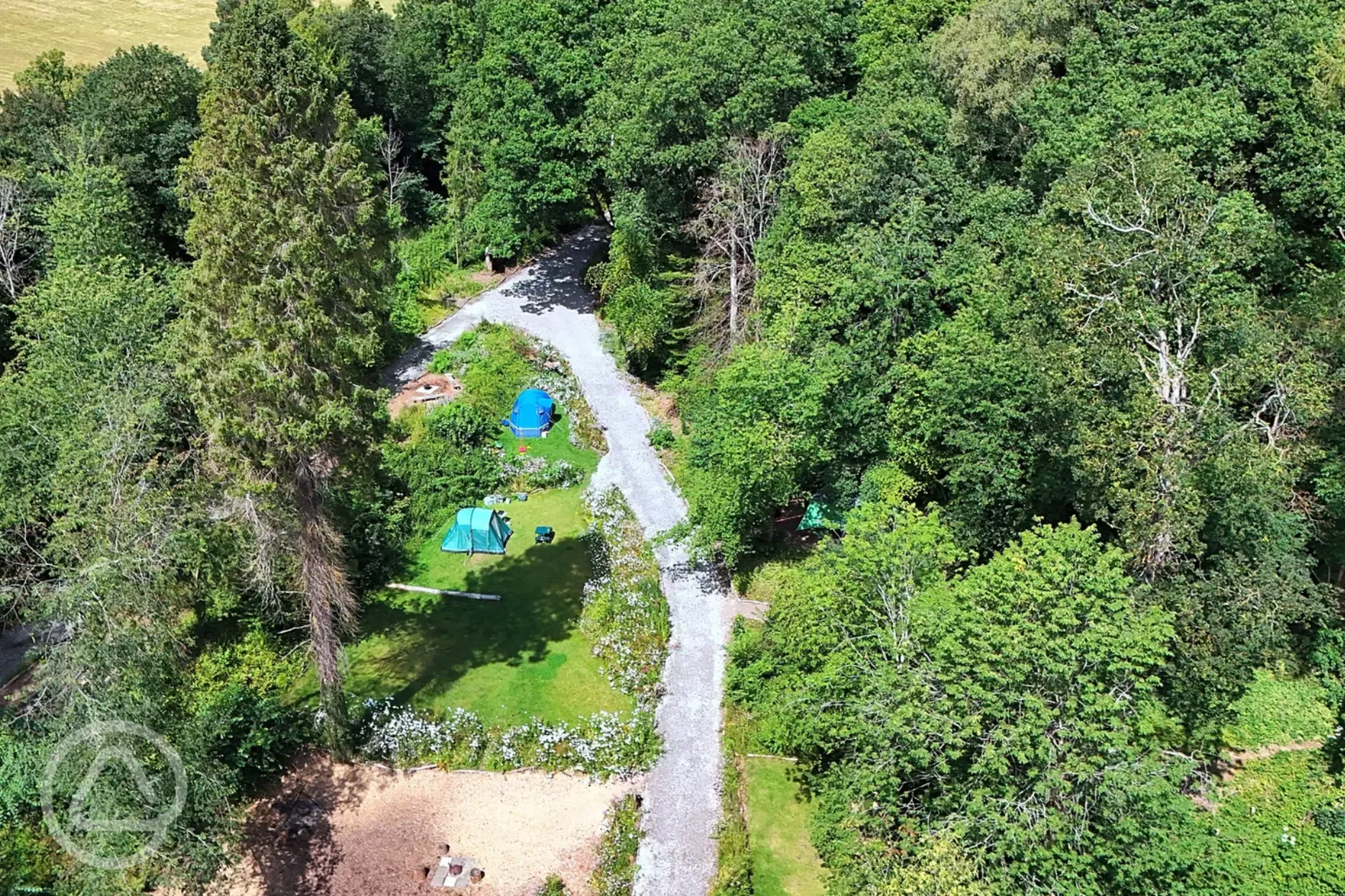 Aerial of Tree Tops and Train Tracks surrounded by woodlands