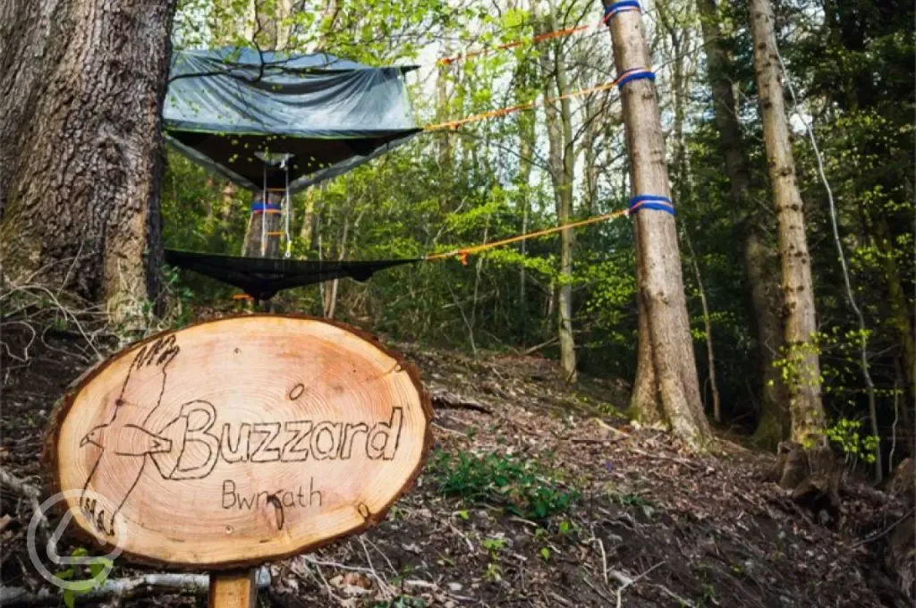 The Buzzard Tentsile stack