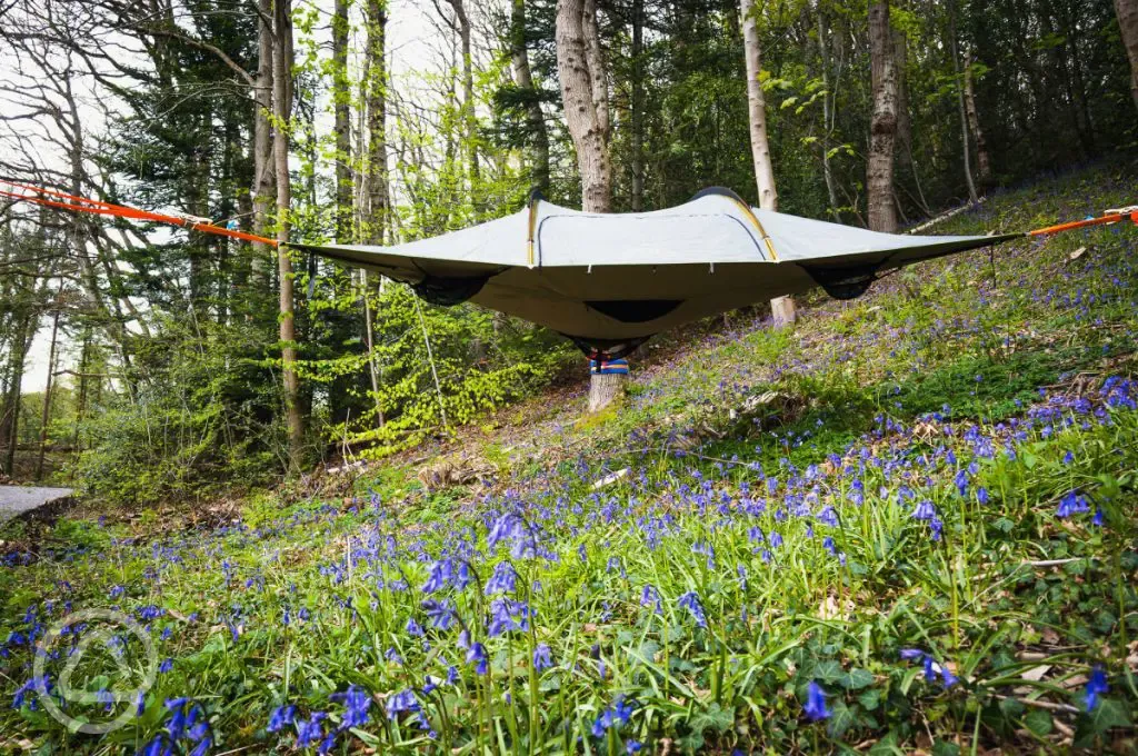 The Swallow tree tent