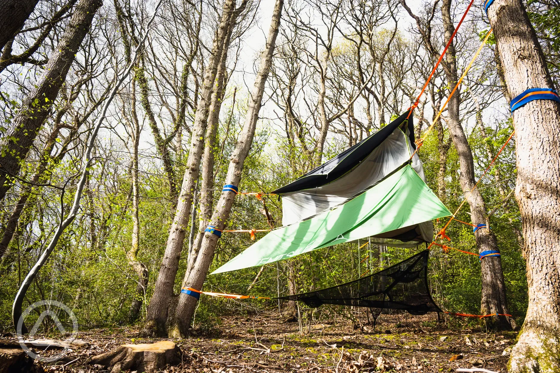 The Buzzard Tentsile stack