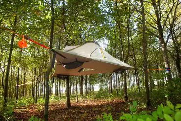 The Swallow tree tent