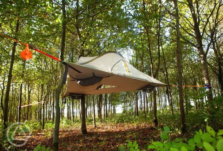 The Swallow tree tent at Tree Tops and Train Tracks