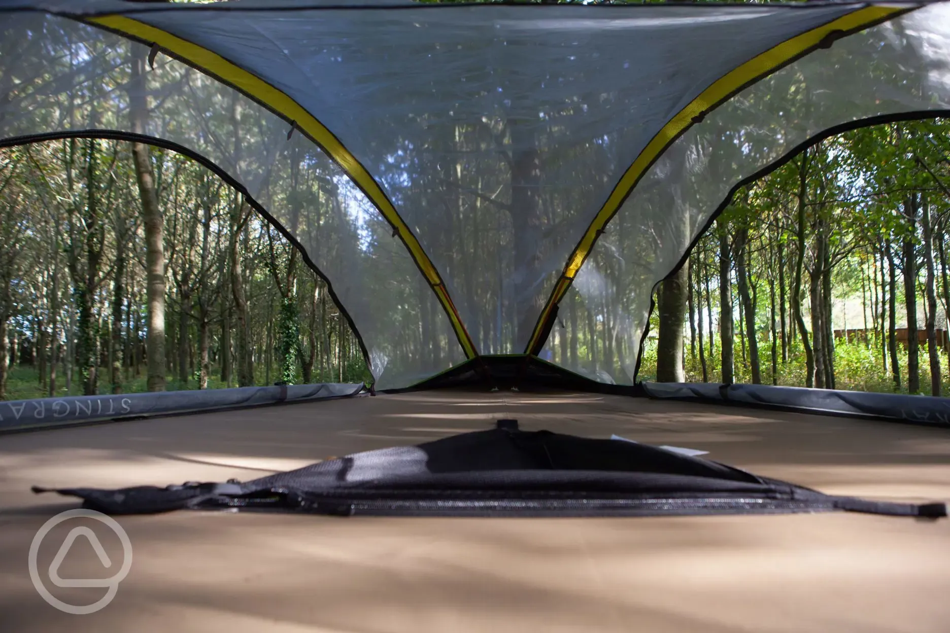 The Swallow tree tent interior