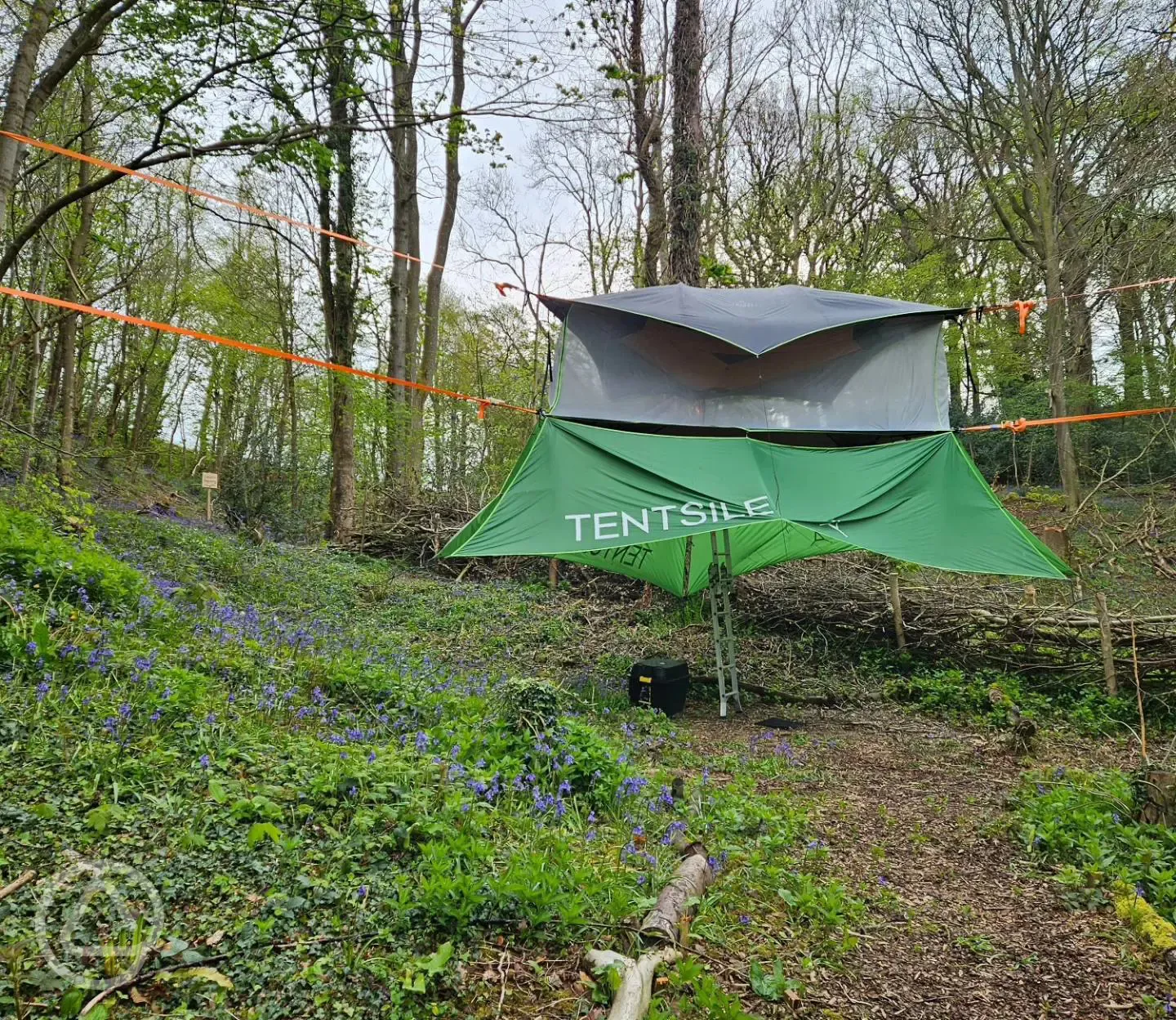 The Buzzard Tentsile stack