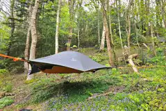 The Swallow tree tent