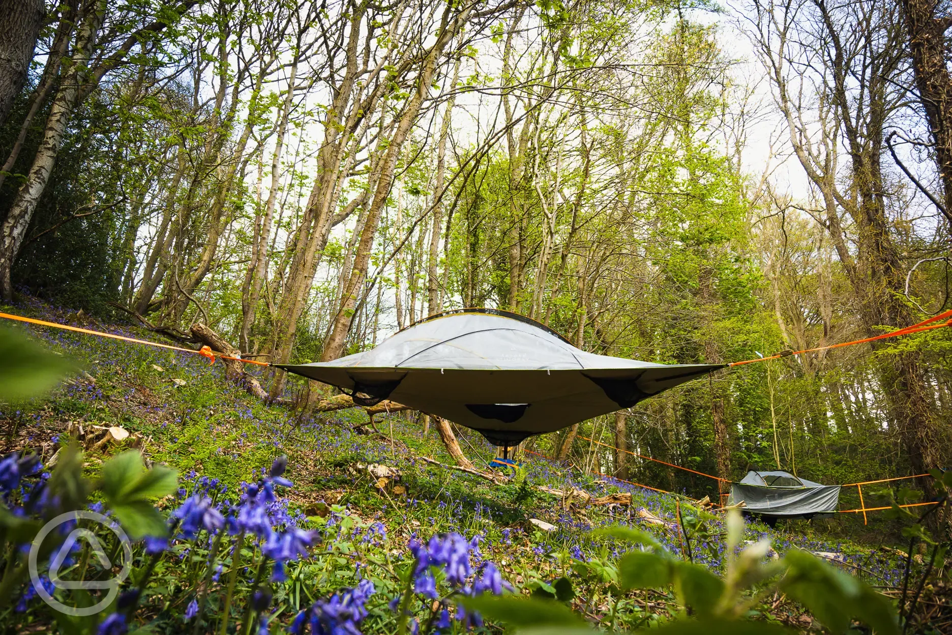 The Swallow tree tent