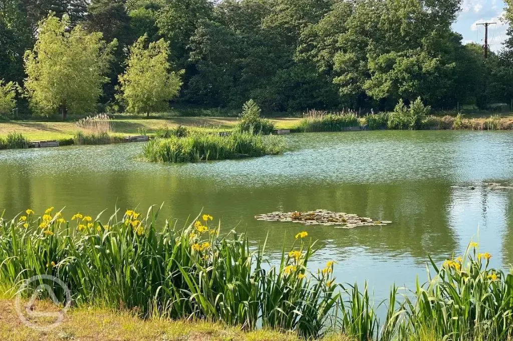 The fishing lake