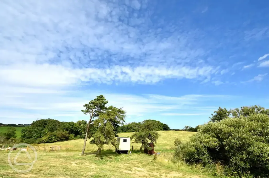 Shepherd's hut