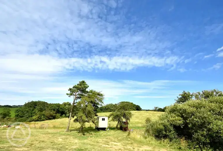Shepherd's hut