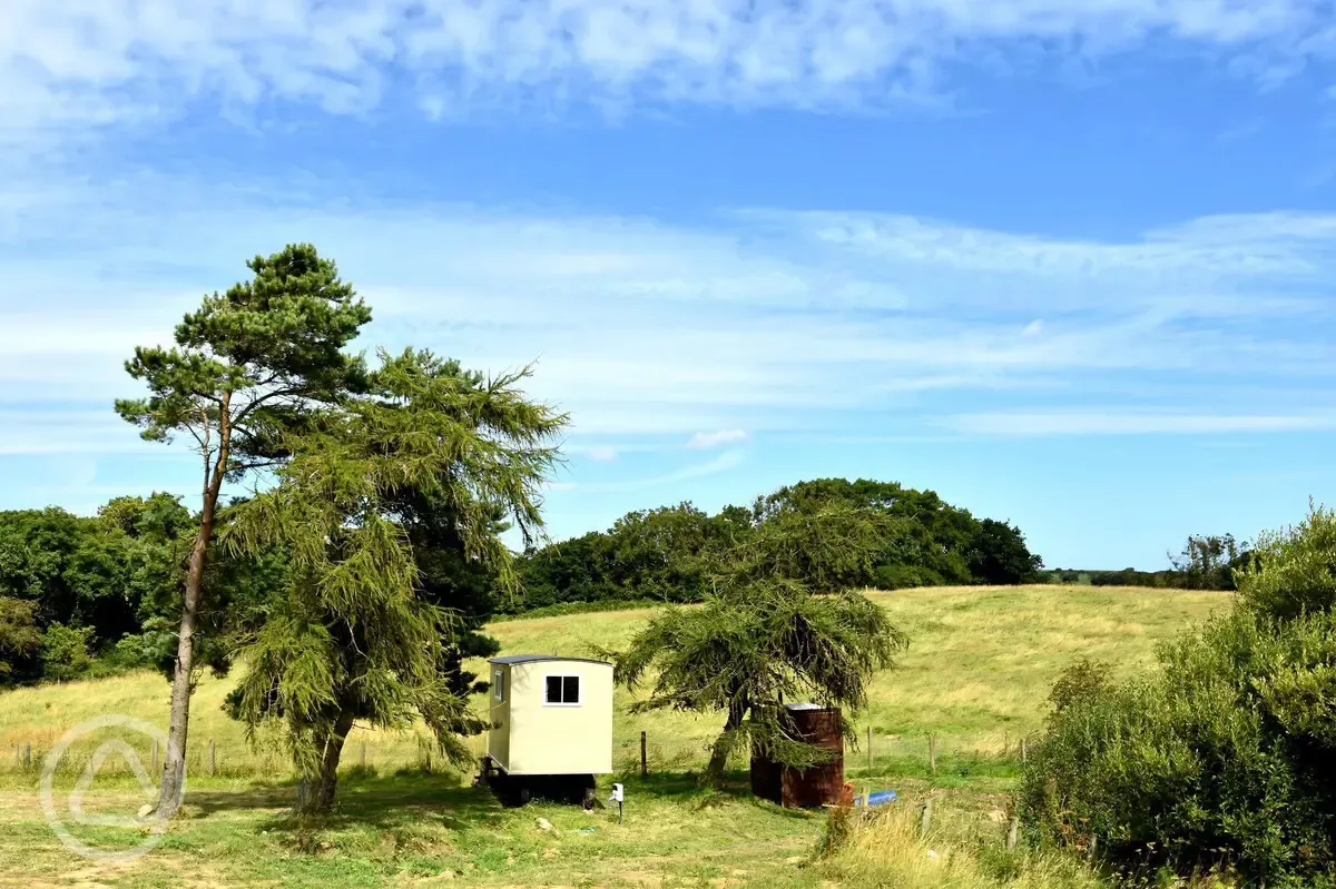 Shepherd's hut