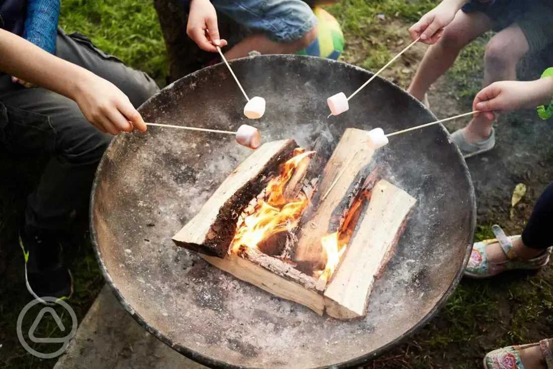 Toasting marshmallows over the fire pit