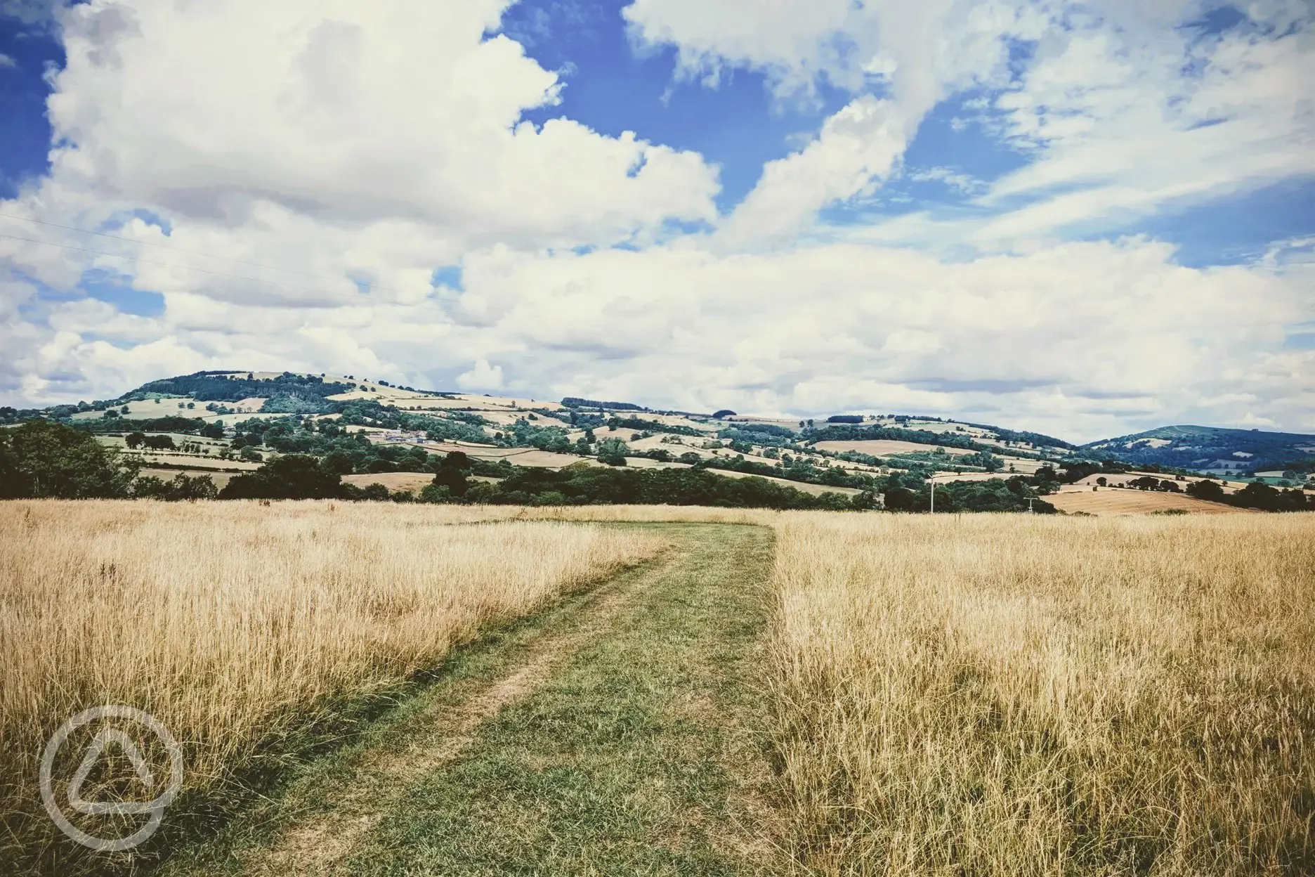 View from pitches