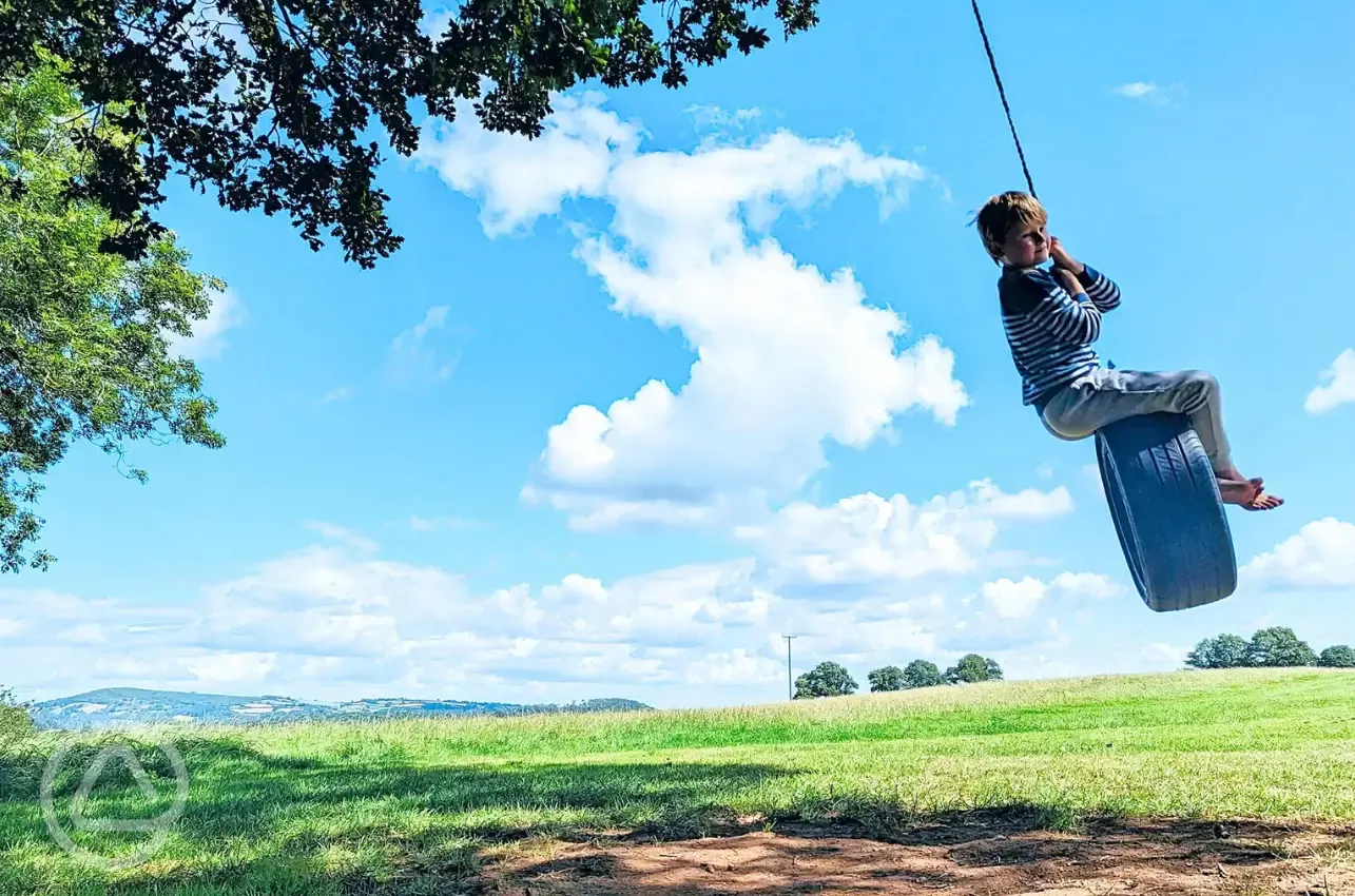 Rope swing