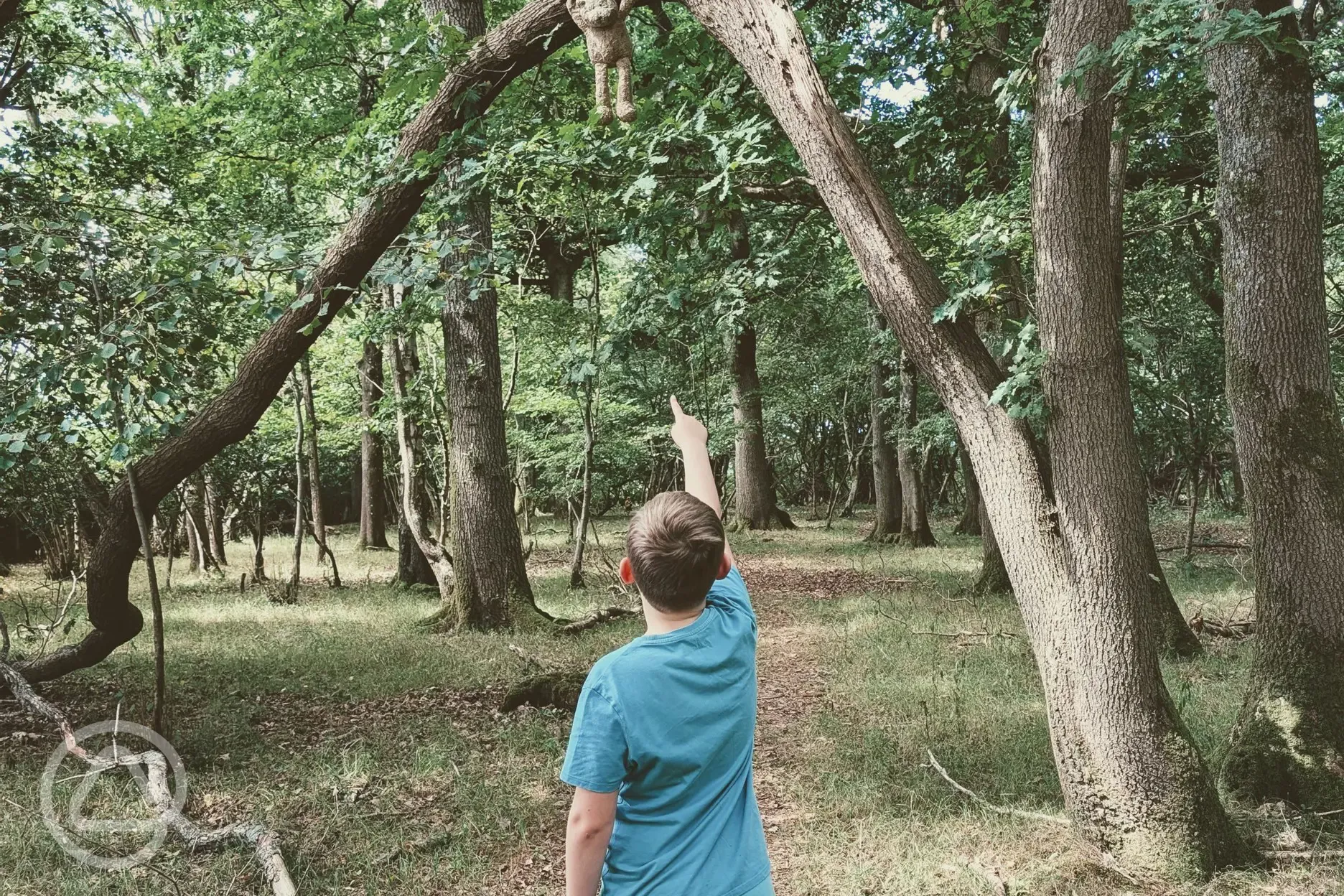 Bear Hunt
