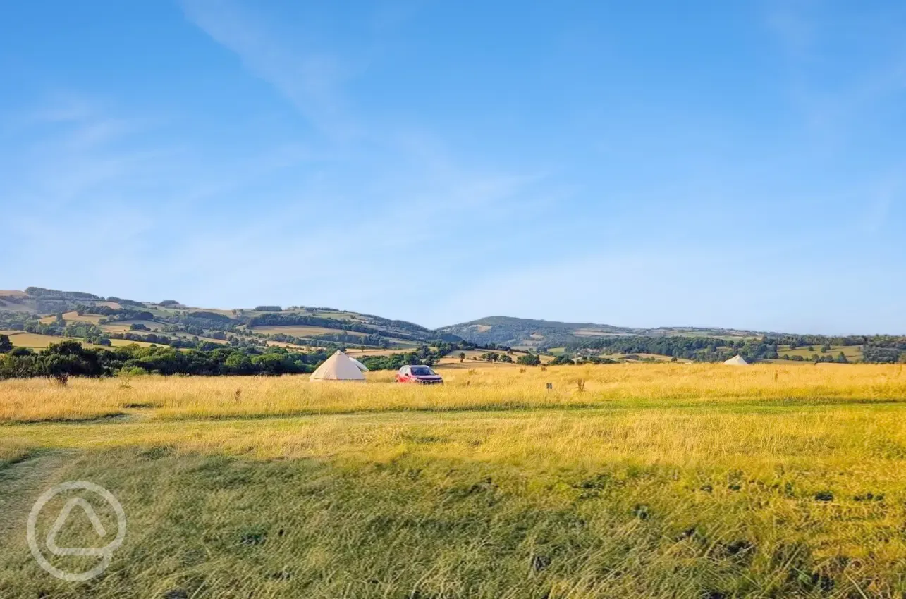 Non electric grass tent pitches
