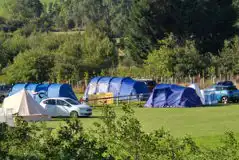 Electric grass pitches at High Farm Holiday Park