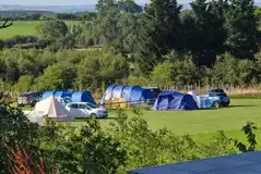 Electric grass tent pitches with a 16 amp hook up