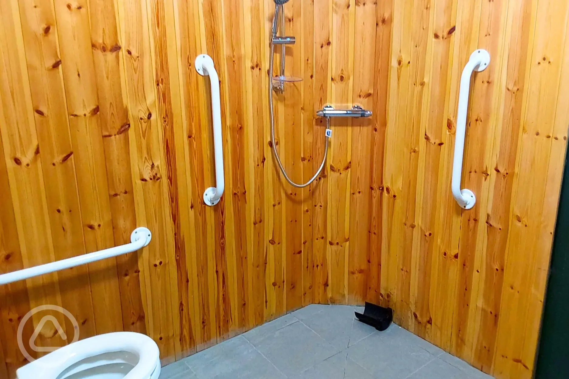 Accessible wet room with shower, toilet and hand basin