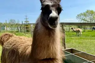 High Farm Holiday Park, Bishop Auckland, County Durham High Farm Holiday Park, Bishop Auckland, County Durham