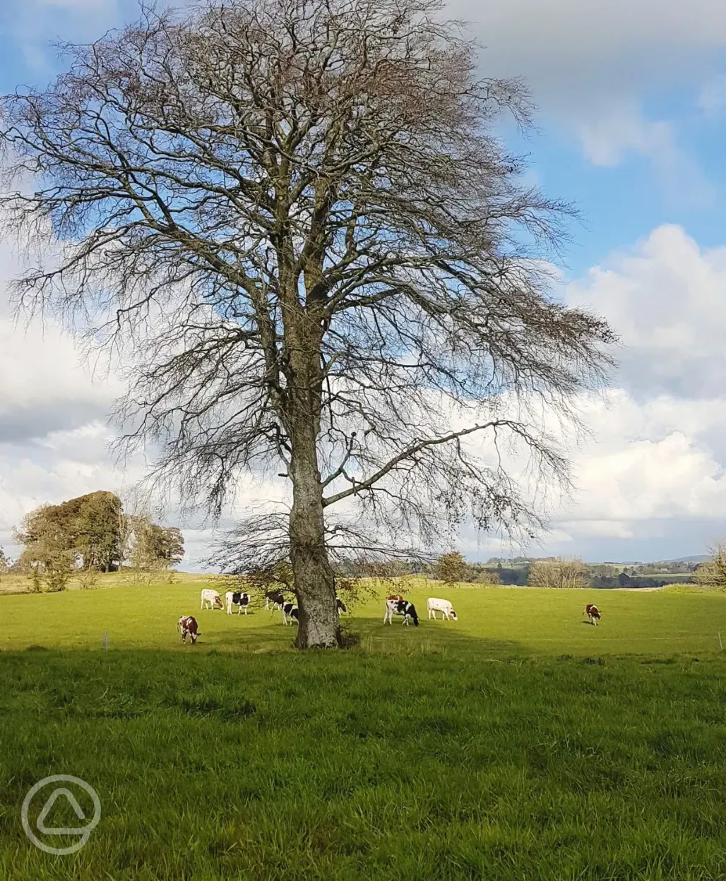 Surrounding farmland