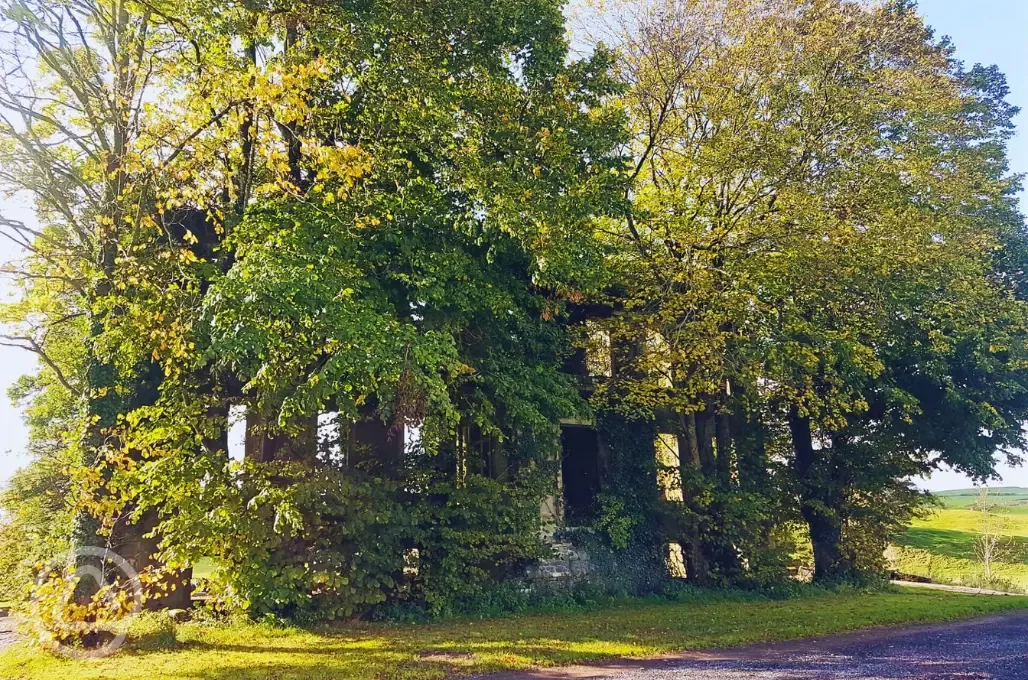 Site entrance