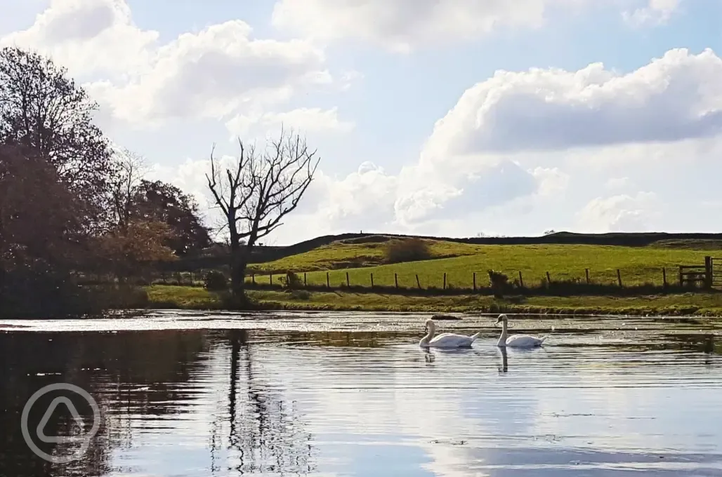 Onsite lake