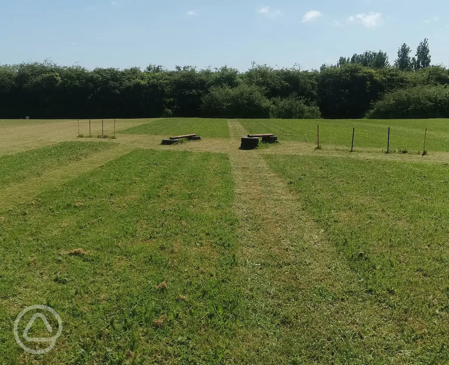 Dog exercise field