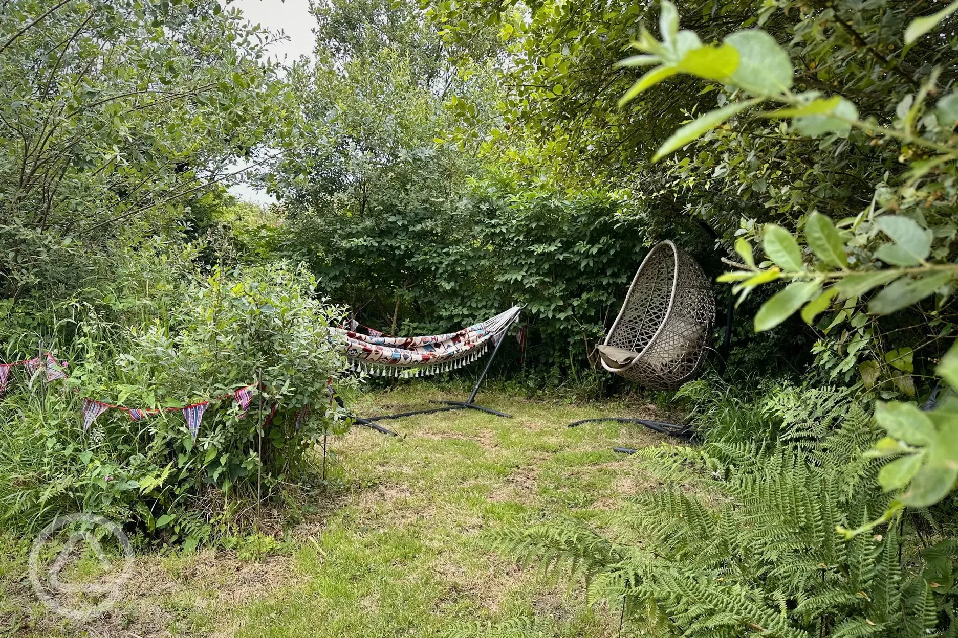 Withy Garden grass pitch