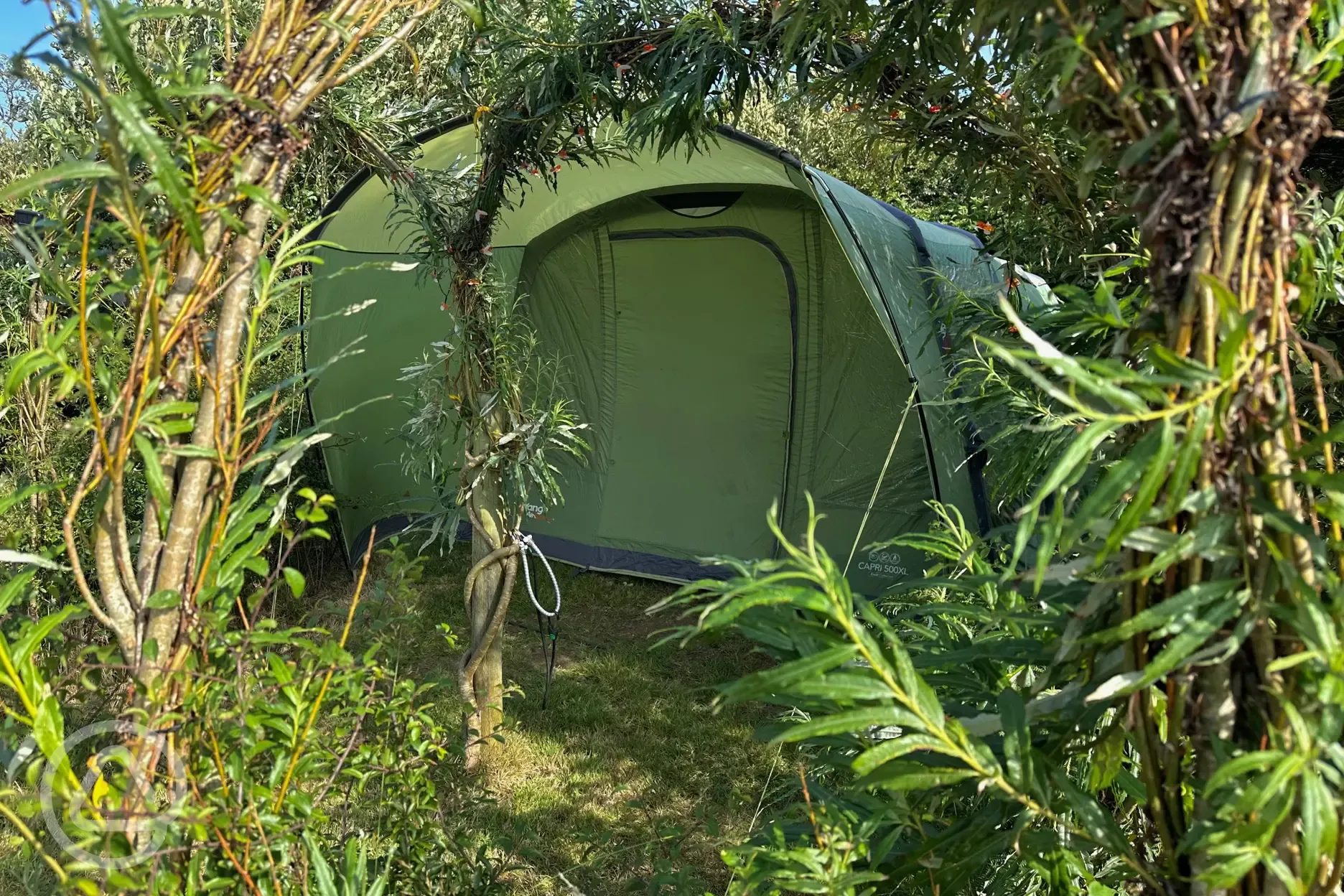 Withy Garden grass pitch