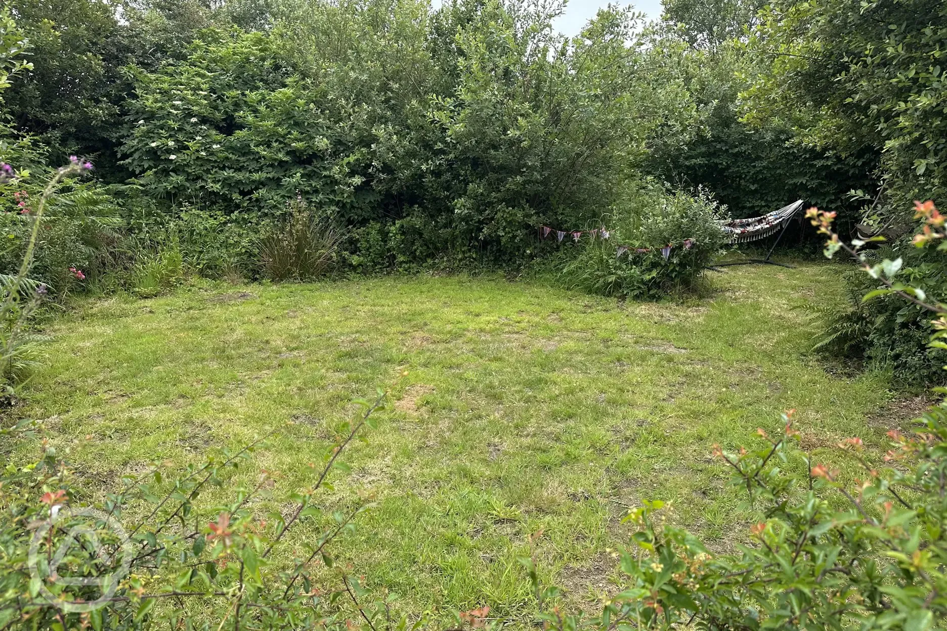 Withy Garden grass pitch