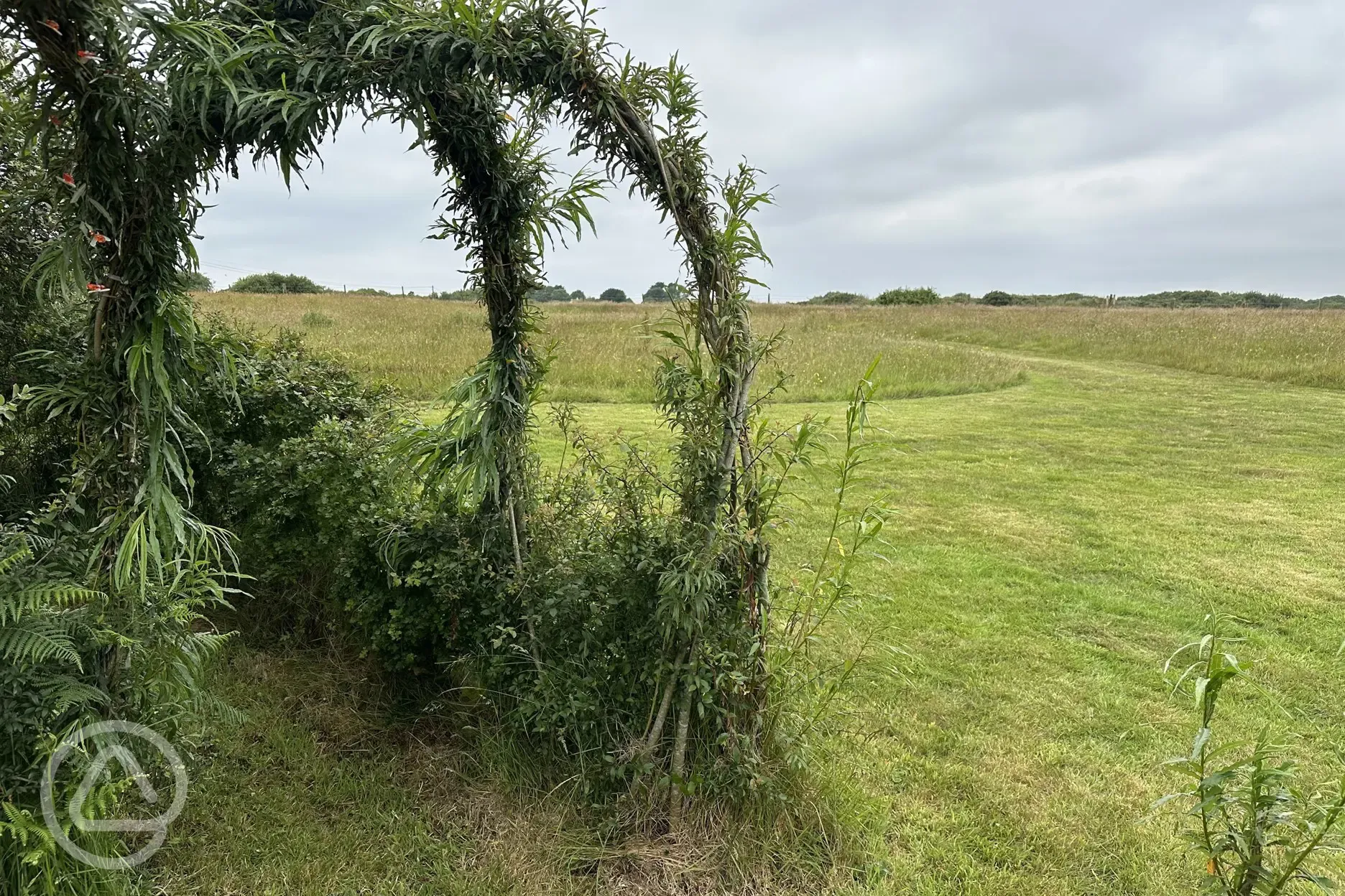 Withy Garden grass pitch