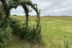 Withy Garden grass pitch