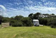 Luna grass pitch