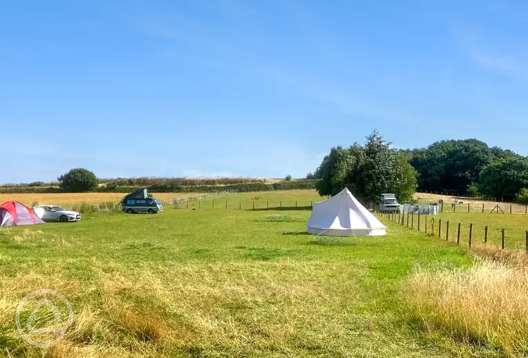 Overview of Swift Farm Camping with grass pitches and a bell tent