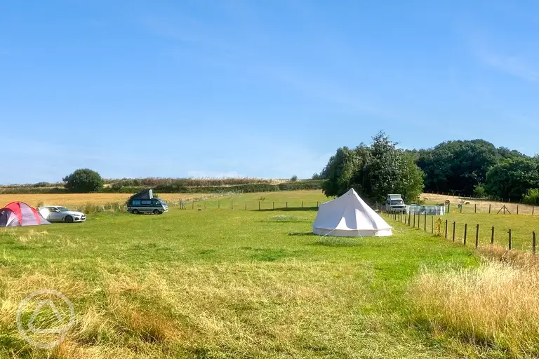 Overview of Swift Farm Camping with grass pitches and a bell tent