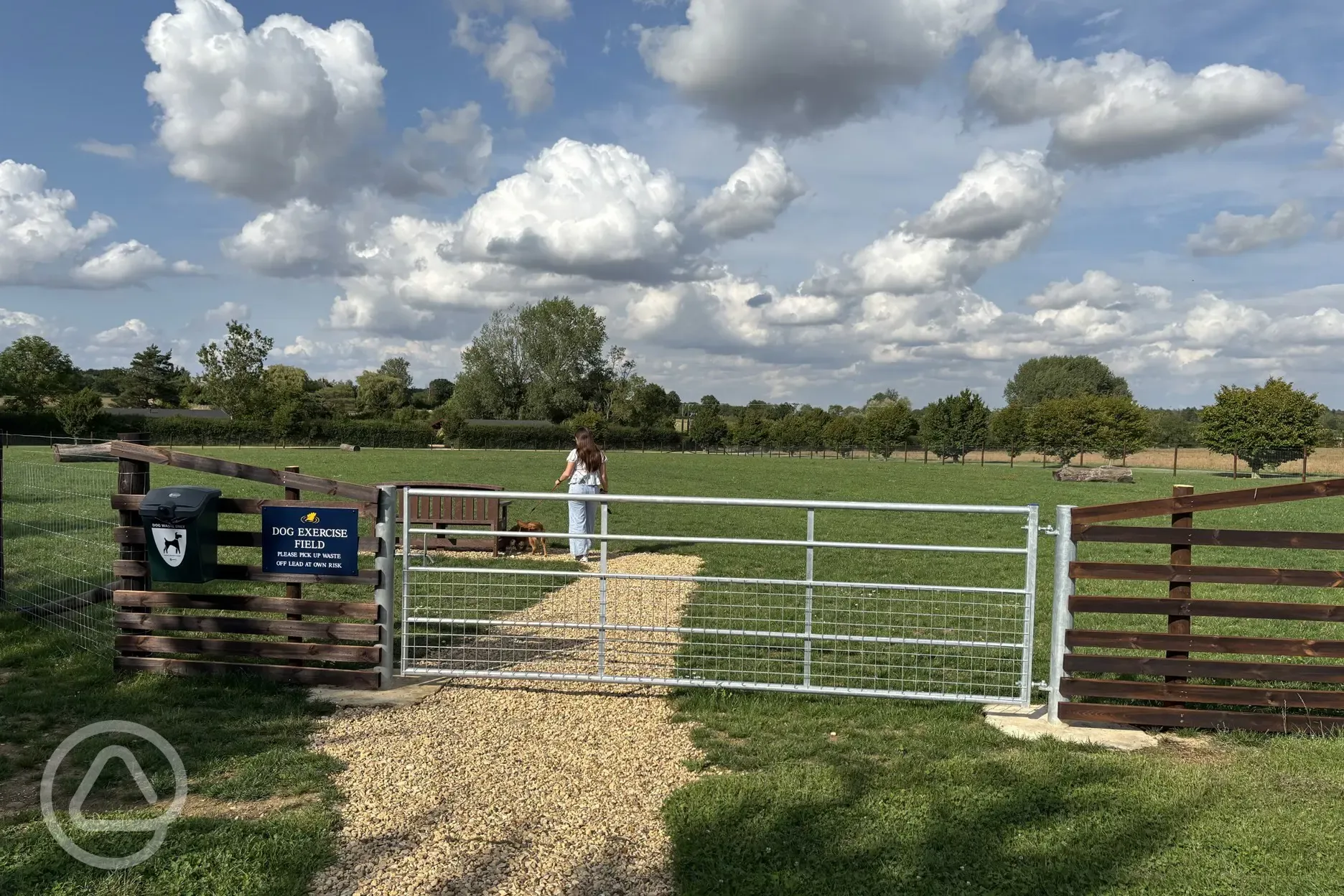 Dog exercise field