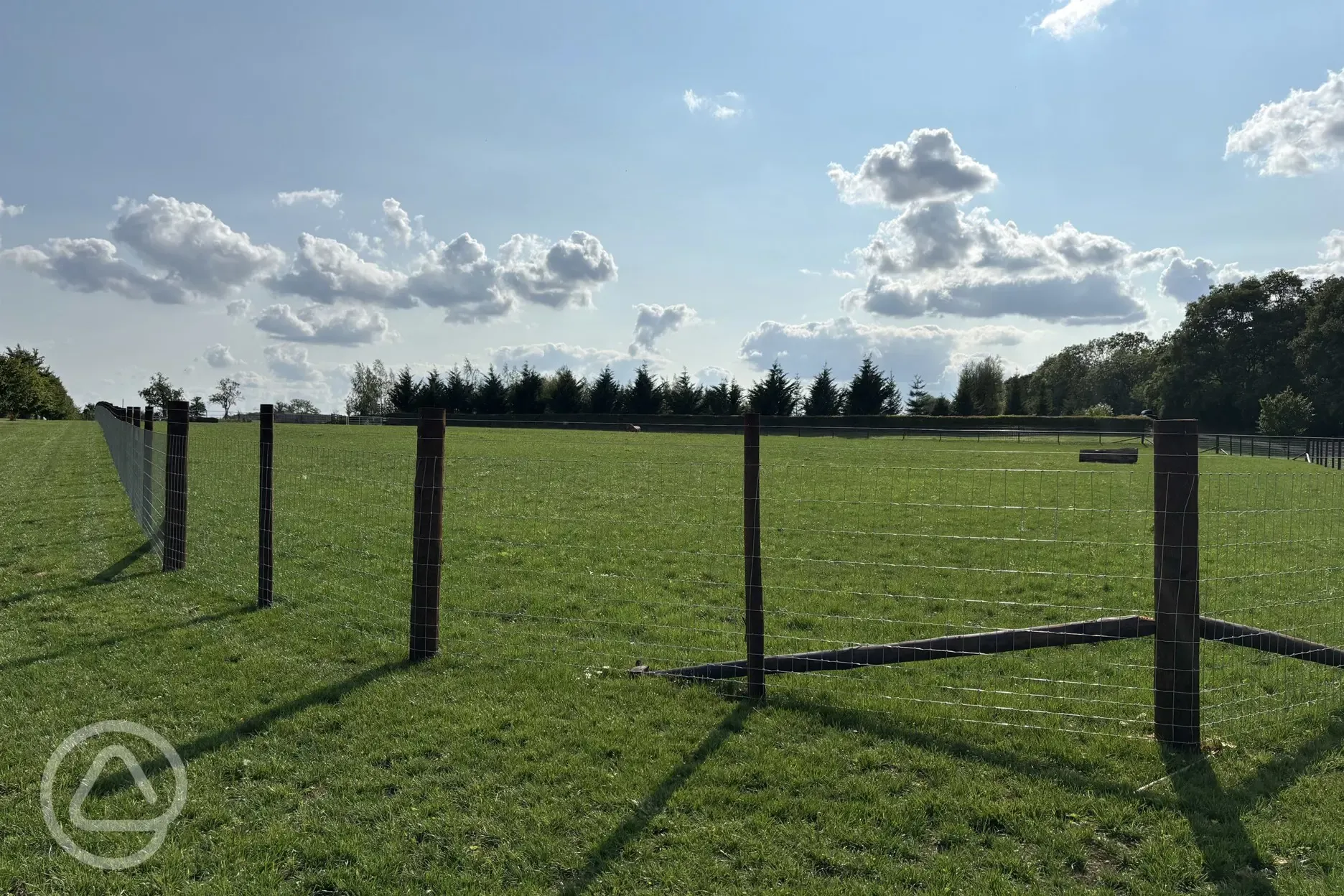 Dog exercise field