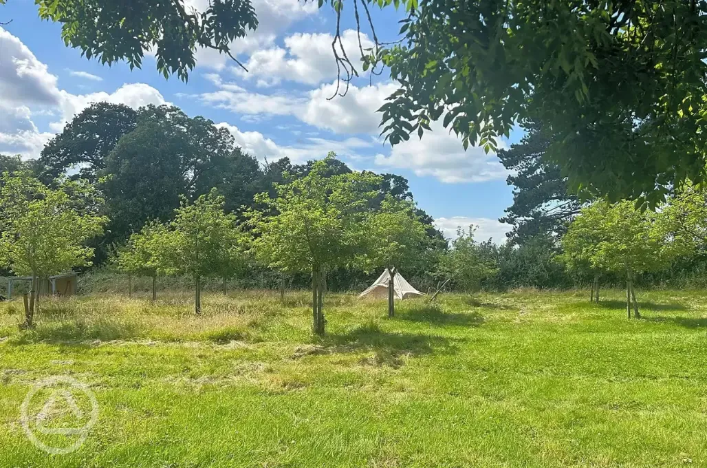 Bell tent 