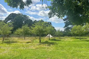 Bell tent 