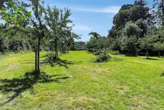 Grass pitches in the orchard